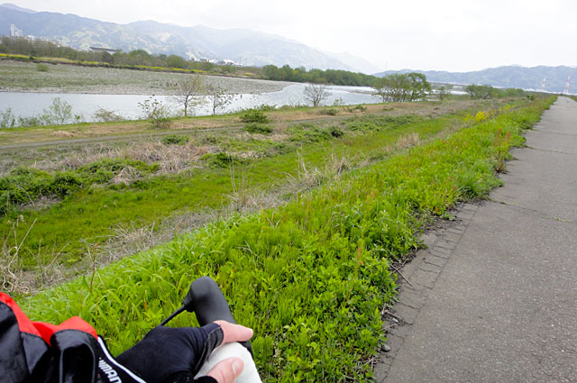 九頭竜川沿いのサイクリングコースを走る